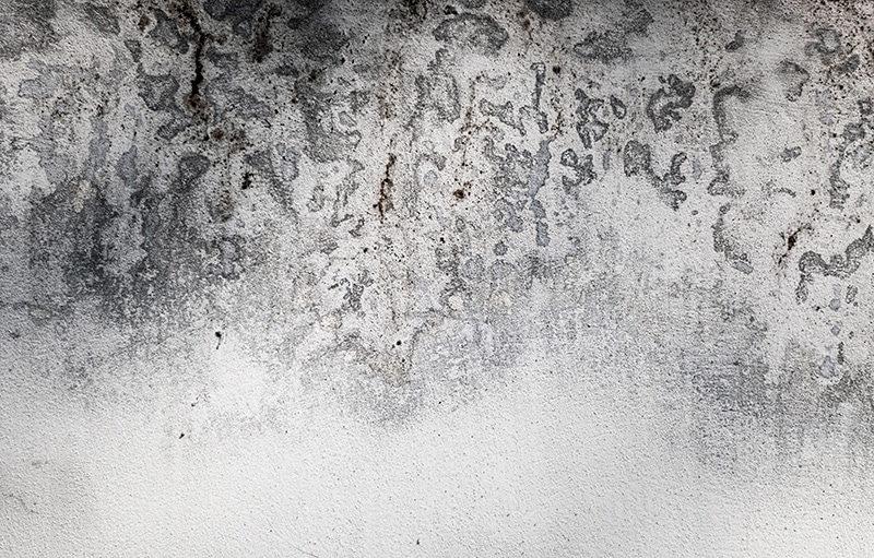 Free Textures