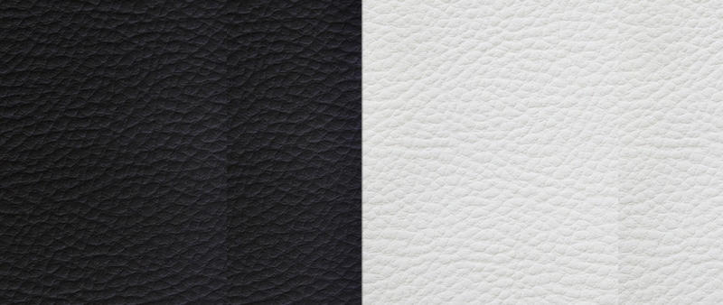 Leather Texture with 2 Colors