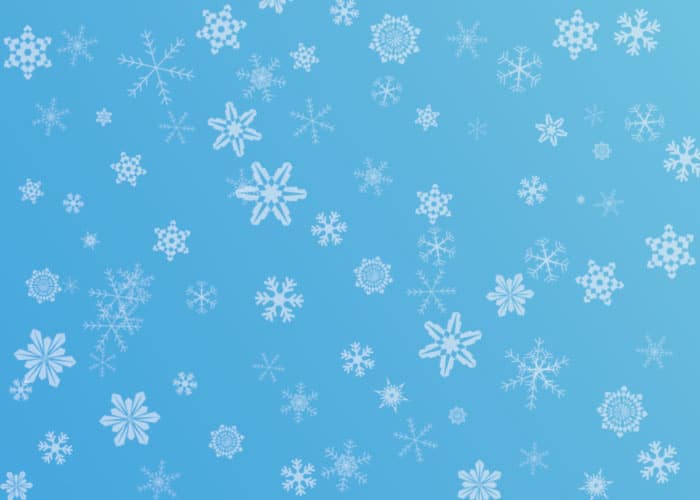 Snowflake Brushes