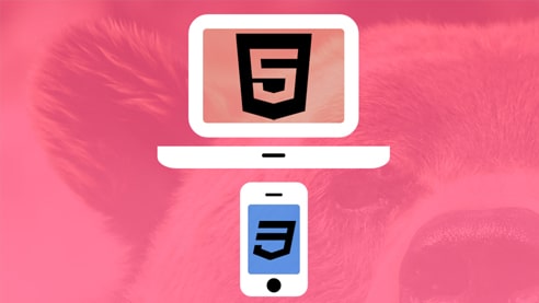 LearnWebCode