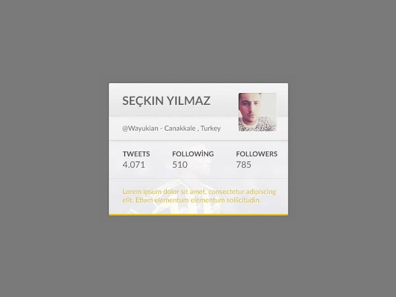 Twitter Widget PSD