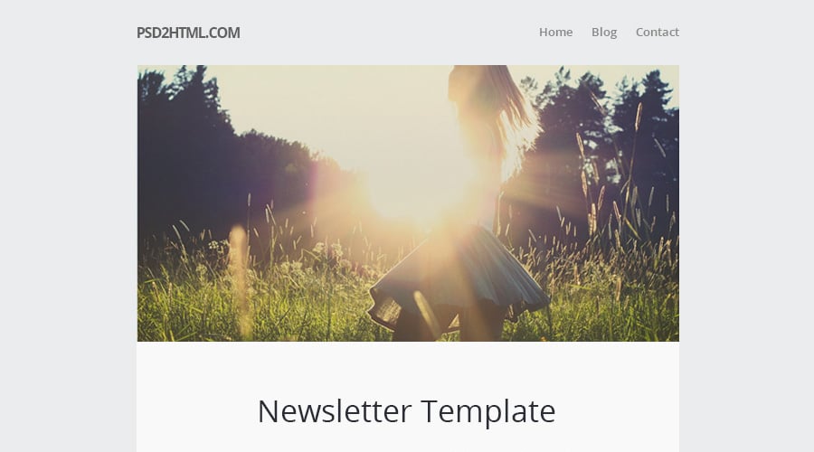 Free Newsletter Template