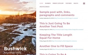 Bushwick Responsive Blogger Template