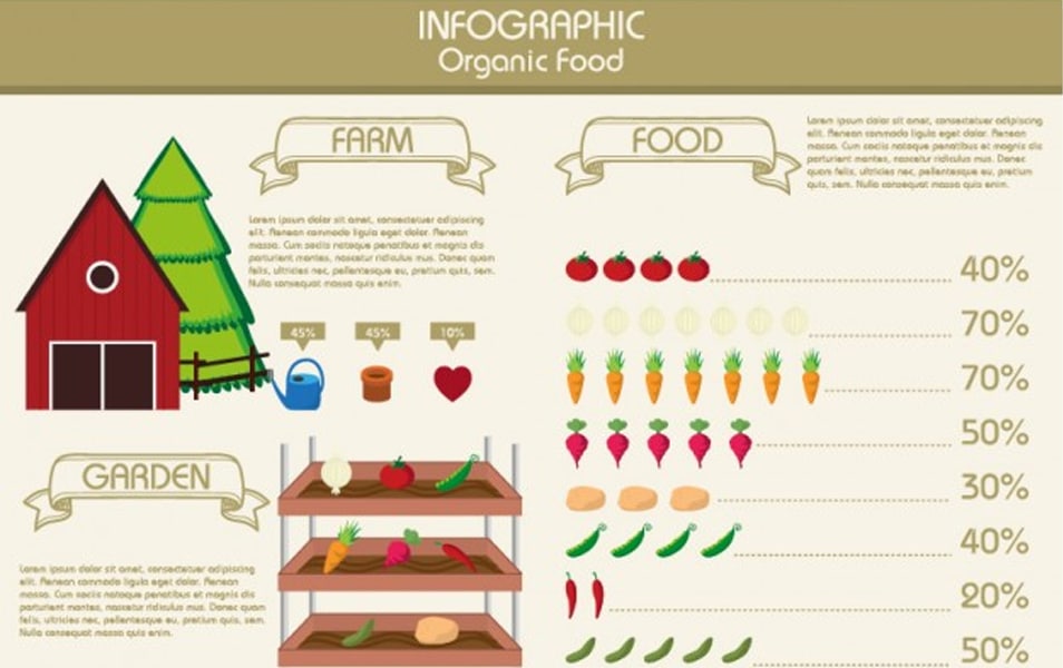 Organic food infographic