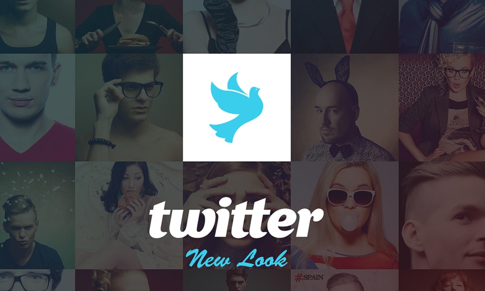 Twitter Redesign Concept