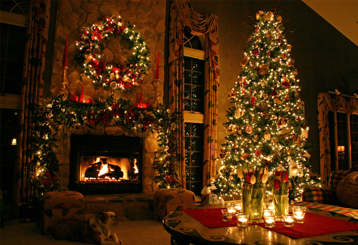 25 best unique and inspirational christmas trees 25 best unique and inspirational christmas trees