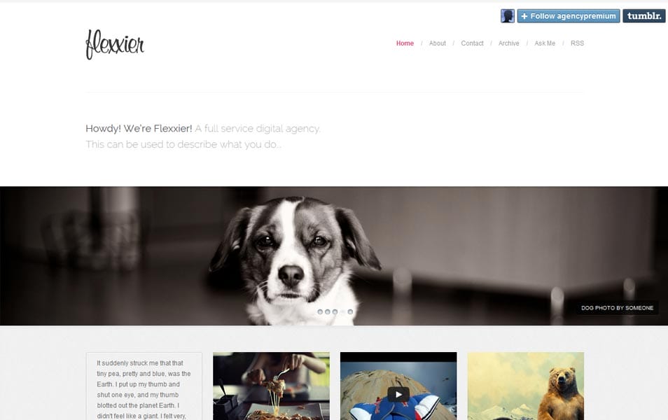 portfolio themes tumblr