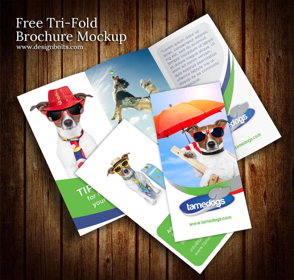 Free Tri Fold Brochure Mockup PSD Template Free Tri Fold Brochure Mockup PSD Template