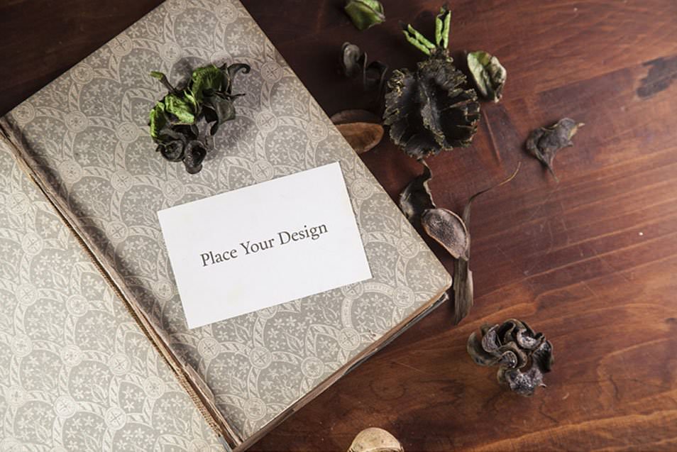 Business Card Mockup