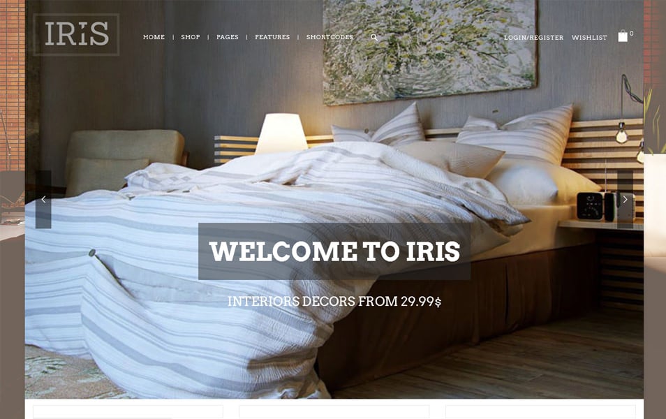 Iris Responsive WordPress Theme