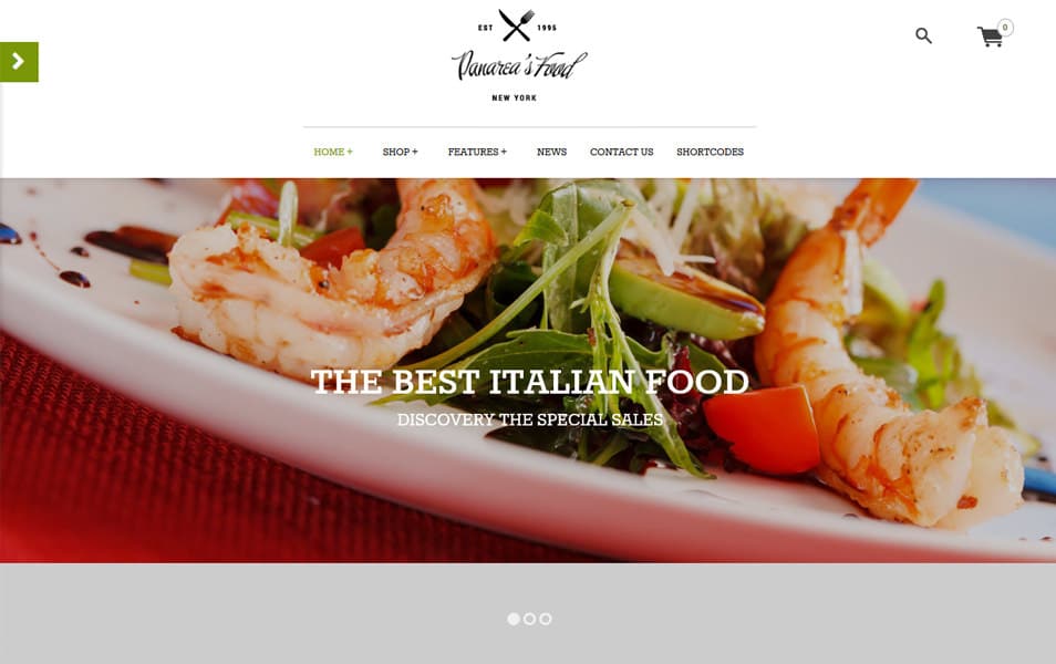 Panarea Responsive WordPress Theme