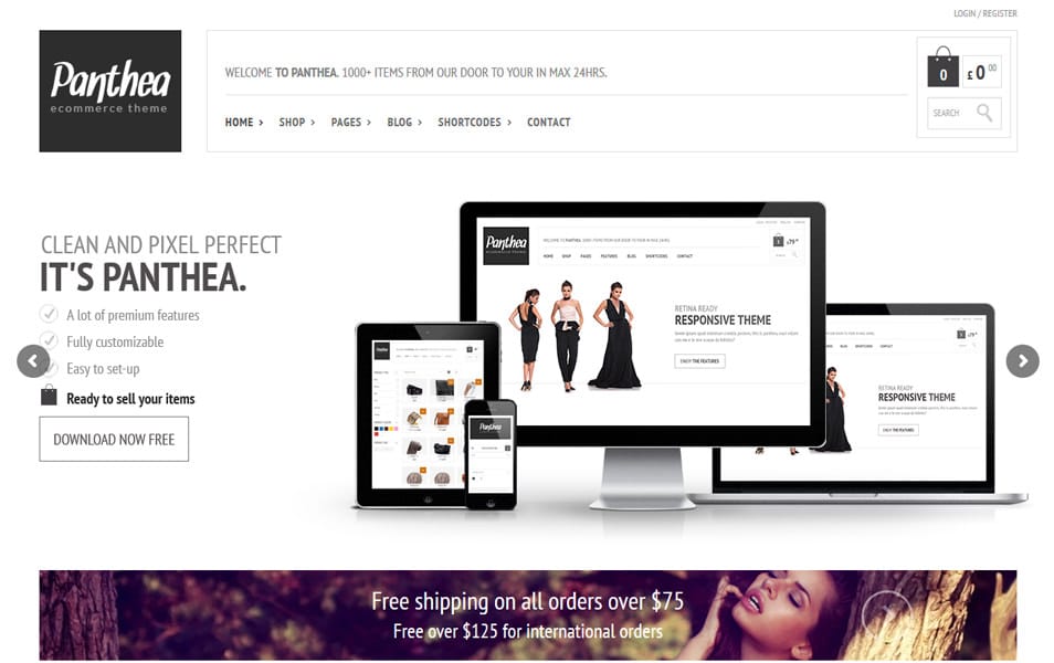 Panthea Responsive WordPress Theme