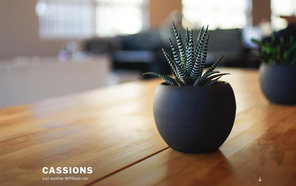 Cassions Responsive WordPress Theme
