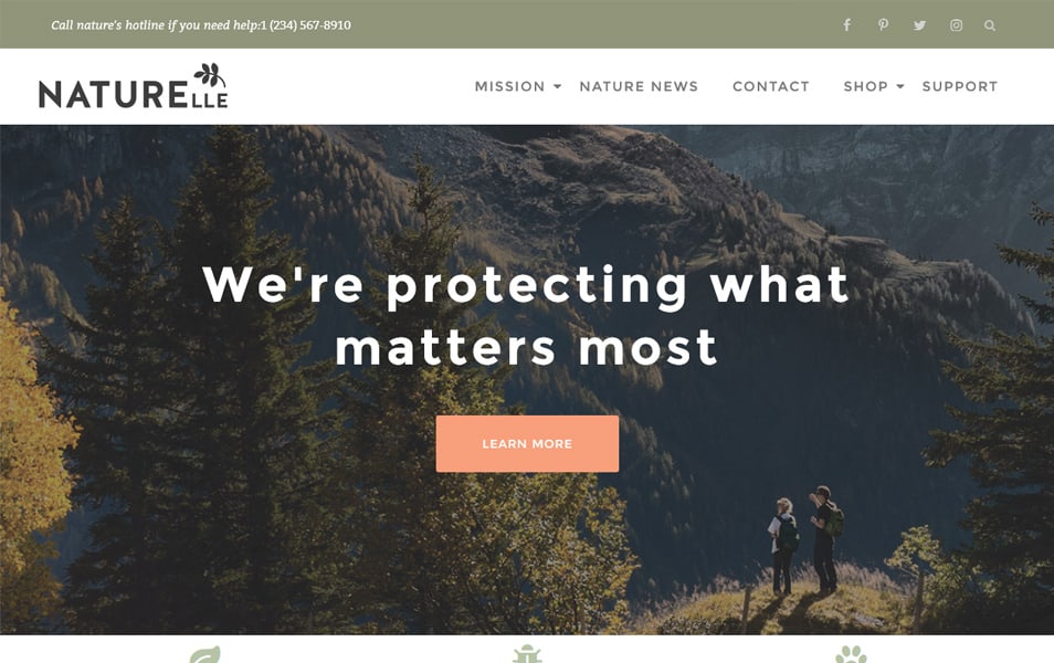 Naturelle Responsive WordPress Theme