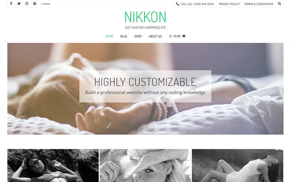 Nikkon Responsive WordPress Theme
