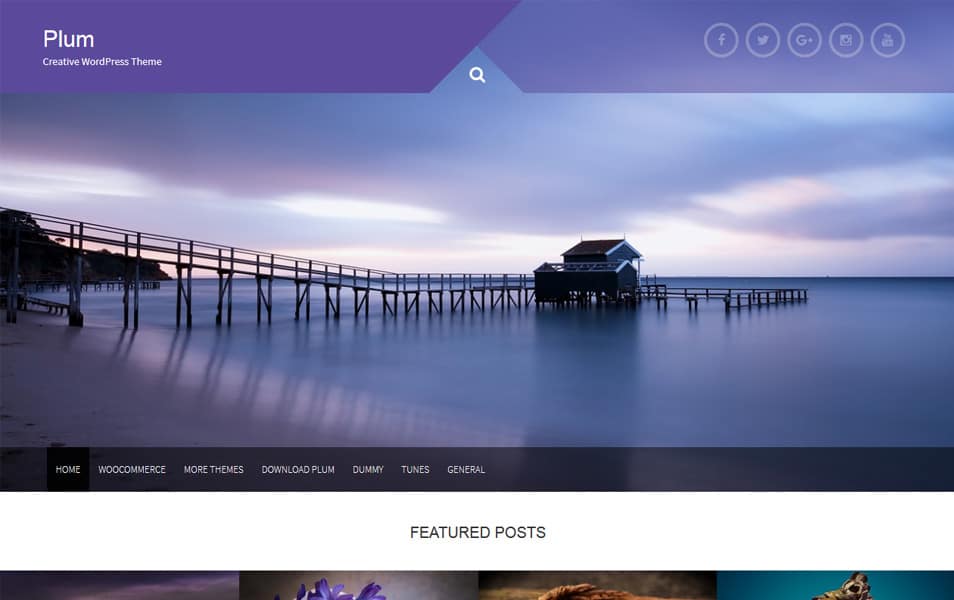 Plum Responsive WordPress Theme