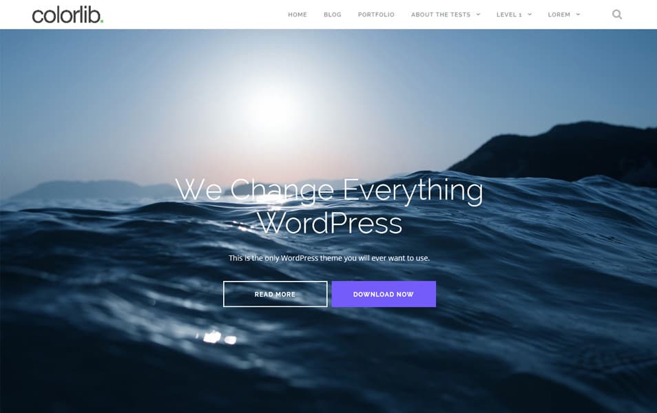 Shapely Responsive WordPress Theme