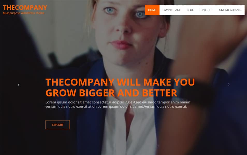 TheCompany تم پاسخگو وردپرس