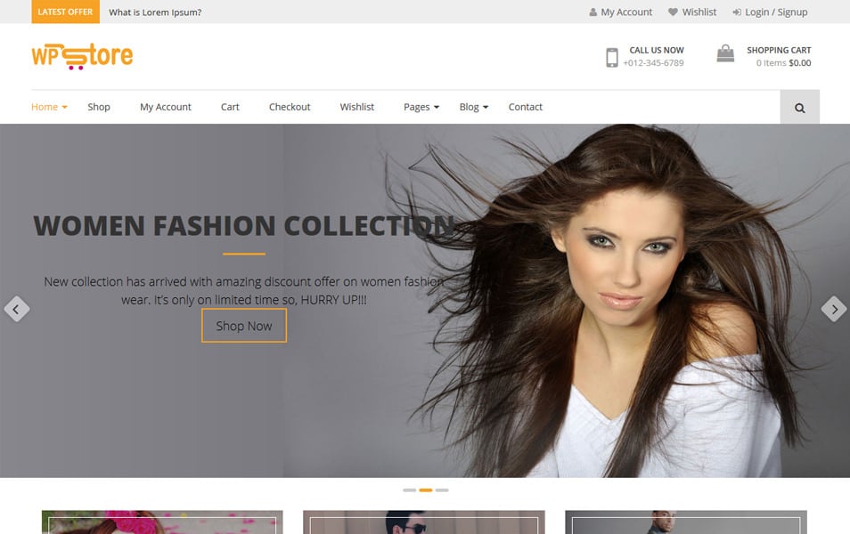 WP Store Responsive WordPress Theme