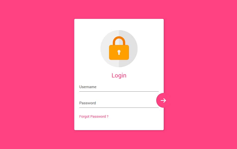 Login Form