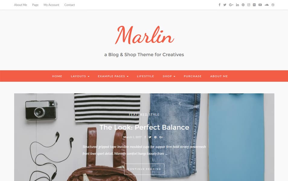 Marlin lite Responsive WordPress Theme
