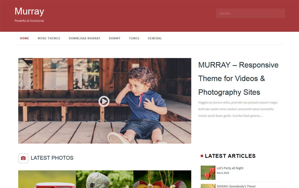 Murray Responsive WordPress Theme