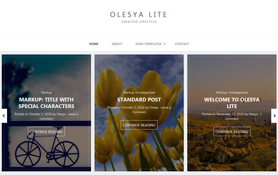 Olesya Lite Responsive WordPress Theme