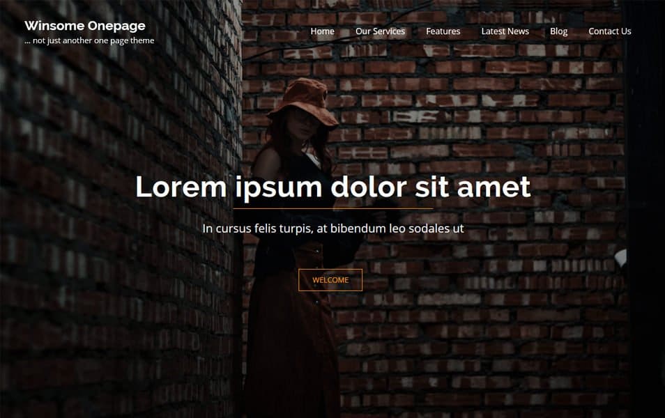 Winsome Responsive WordPress Theme