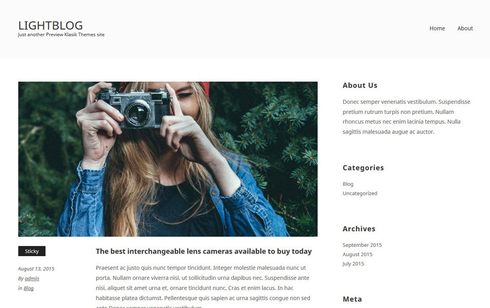 LightBlogKT Responsive WordPress Theme