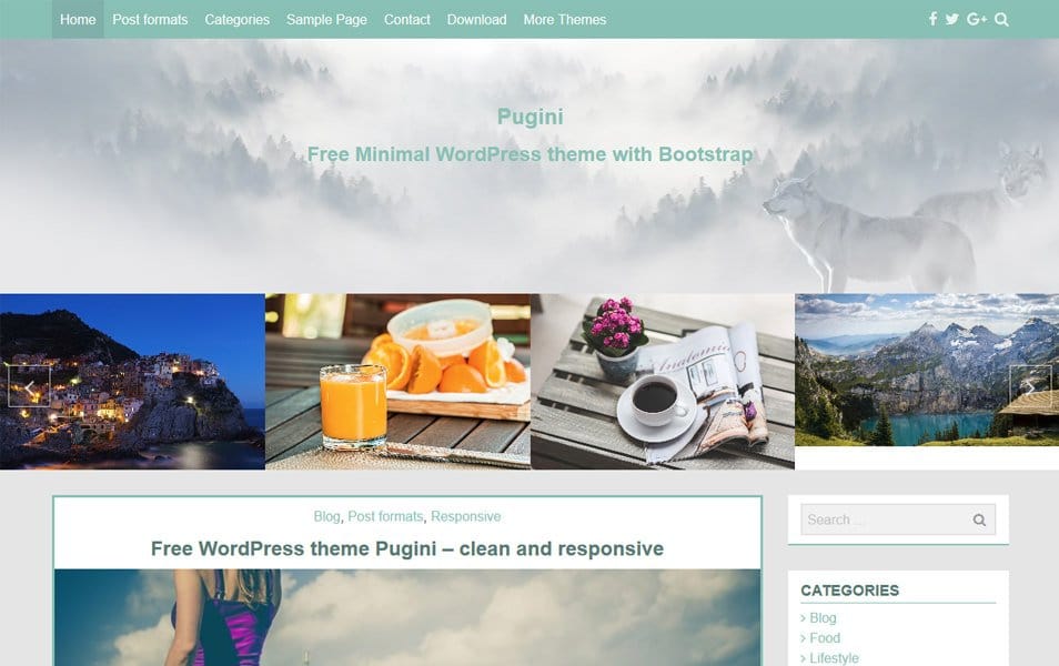 Pugini Responsive WordPress Theme